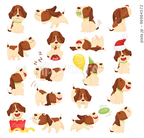 Cute Beagle Dog in Various Poses Big Vector Set 96964572