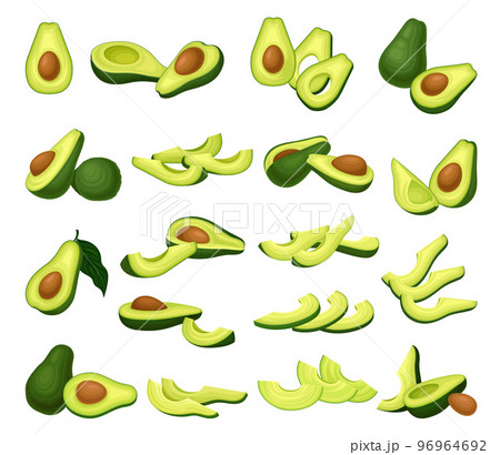 Avocado Bright Green Whole and Half Fruit with Large Seed Big Vector Set 96964692