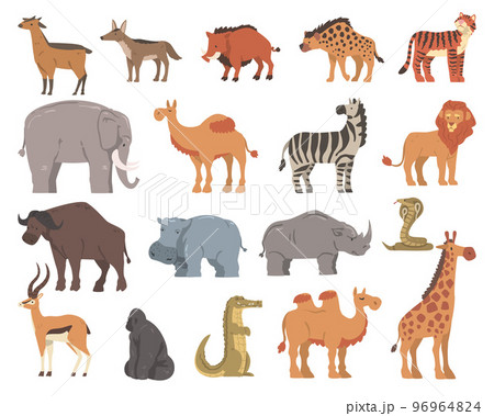 African Animals and Wild Mammal from Savannah Big Vector Set African Animals and Wild Mammal from Savannah Big Vector Set 96964824