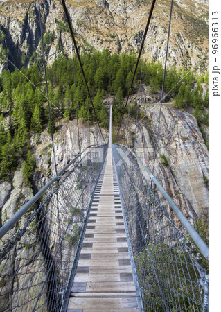 Suspension bridge Aspi - Titter (Switzerland) 96966313