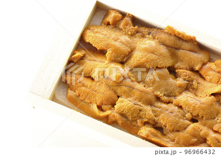 木箱に入ってる高級食材のウニを白背景で俯瞰撮影 96966432