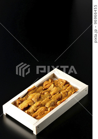 木箱に入ってる高級食材のウニを黒背景で撮影 木箱に入ってる高級食材のウニを黒背景で撮影 96966455