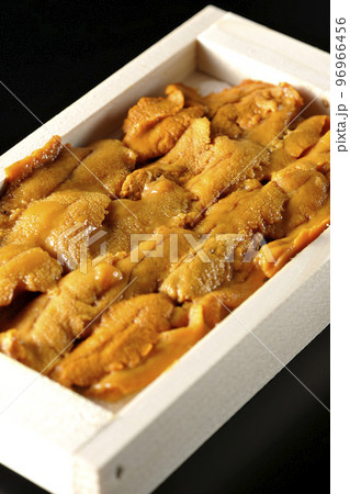 木箱に入ってる高級食材のウニを黒背景で撮影 96966456