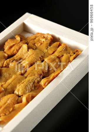 木箱に入ってる高級食材のウニを黒背景で撮影 96966458