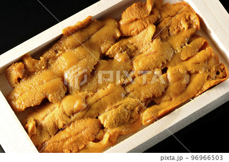 木箱に入ってる高級食材のウニを黒背景で俯瞰撮影 96966503