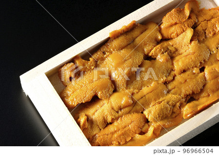 木箱に入ってる高級食材のウニを黒背景で俯瞰撮影 木箱に入ってる高級食材のウニを黒背景で俯瞰撮影 96966504