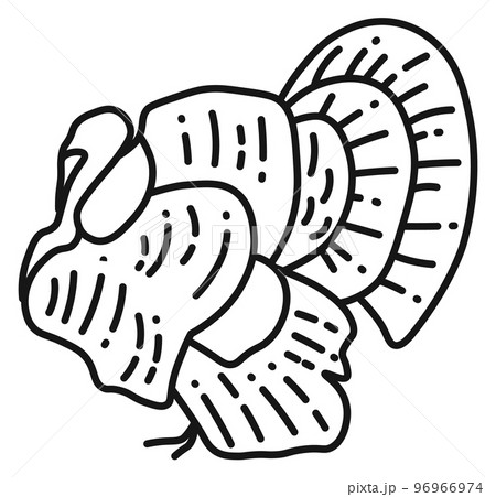 Turkey line icon. Domestic bird. Farm animal 96966974