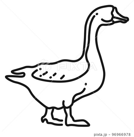 Goose line icon. Farm bird symbol. Domestic animal 96966978