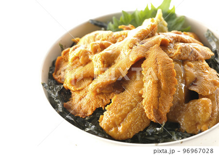 大葉と山葵も乗ってる生うに丼を白背景で撮影 96967028
