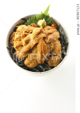 大葉と山葵も乗ってる生うに丼を白背景で俯瞰撮影 96967123