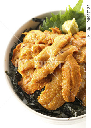 大葉と山葵も乗ってる生うに丼を白背景で俯瞰撮影 96967125