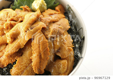 大葉と山葵も乗ってる生うに丼を白背景で俯瞰撮影 大葉と山葵も乗ってる生うに丼を白背景で俯瞰撮影 96967129