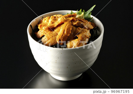 大葉と山葵も乗ってる生うに丼を黒背景で撮影 大葉と山葵も乗ってる生うに丼を黒背景で撮影 96967195