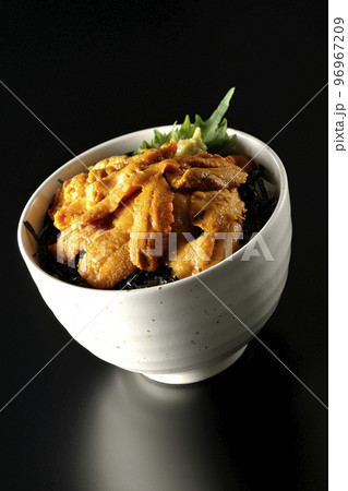 大葉と山葵も乗ってる生うに丼を黒背景で撮影 大葉と山葵も乗ってる生うに丼を黒背景で撮影 96967209