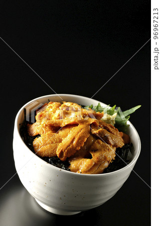 大葉と山葵も乗ってる生うに丼を黒背景で撮影 大葉と山葵も乗ってる生うに丼を黒背景で撮影 96967213