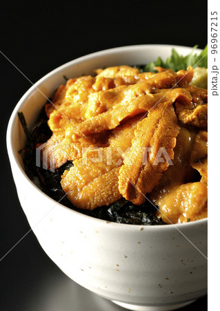 大葉と山葵も乗ってる生うに丼を黒背景で撮影 96967215
