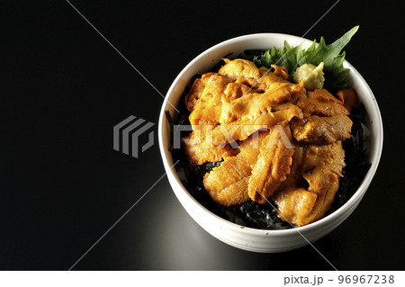 大葉と山葵も乗ってる生うに丼を黒背景で俯瞰撮影 96967238