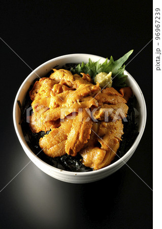大葉と山葵も乗ってる生うに丼を黒背景で俯瞰撮影 96967239