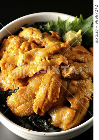 大葉と山葵も乗ってる生うに丼を黒背景で俯瞰撮影 大葉と山葵も乗ってる生うに丼を黒背景で俯瞰撮影 96967242