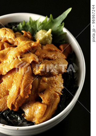 大葉と山葵も乗ってる生うに丼を黒背景で俯瞰撮影 大葉と山葵も乗ってる生うに丼を黒背景で俯瞰撮影 96967244