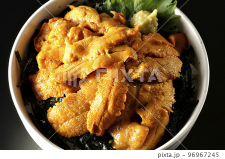 大葉と山葵も乗ってる生うに丼を黒背景で俯瞰撮影 大葉と山葵も乗ってる生うに丼を黒背景で俯瞰撮影 96967245