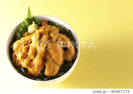 大葉と山葵も乗ってる生うに丼を俯瞰で撮影 大葉と山葵も乗ってる生うに丼を俯瞰で撮影 96967279