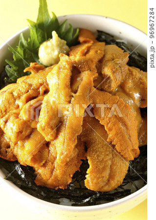 大葉と山葵も乗ってる生うに丼を俯瞰で撮影 大葉と山葵も乗ってる生うに丼を俯瞰で撮影 96967284