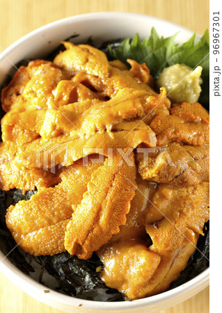 大葉と山葵も乗ってる生うに丼を俯瞰で撮影 大葉と山葵も乗ってる生うに丼を俯瞰で撮影 96967301
