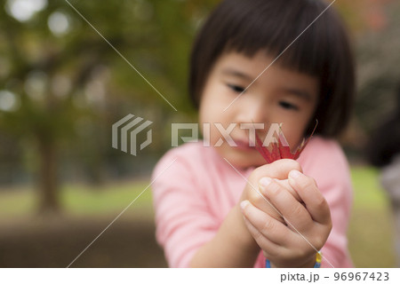 紅葉が綺麗な公園で自然を楽しむ3歳の女の子 96967423