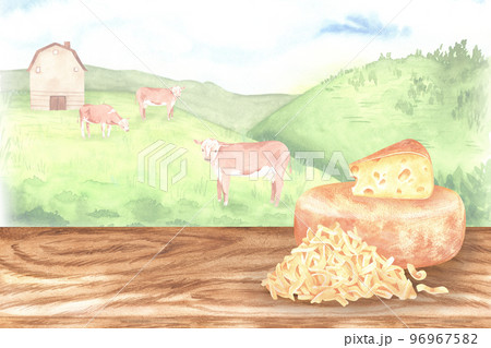 Cheese lies on the table against the background of green hills with grazing cows. Head, piece and grated cheese. Watercolor illustration. Isolated on a white background. For design of dairy products Cheese lies on the table against the background of green hills with grazing cows. Head, piece and grated cheese. Watercolor illustration. Isolated on a white background. For design of dairy products 96967582