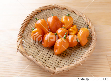オレンジ色の辛い野菜ハバネロ 96969412