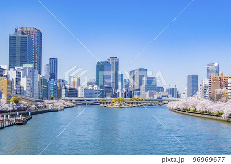大阪 天満橋 桜 大阪 天満橋 桜 96969677
