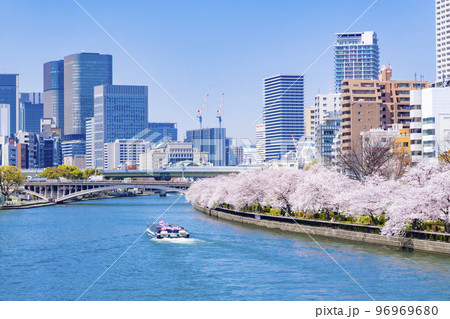 大阪　天満橋　桜 96969680