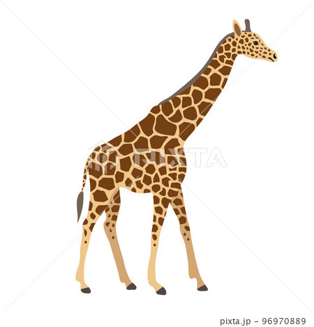 Vector flat hand drawn giraffe 96970889