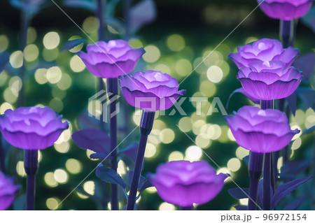 The bulbs were made into roses, arranged as festive decorations. The bulbs were made into roses, arranged as festive decorations. 96972154