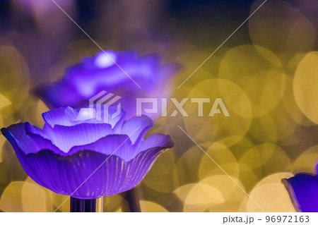 The bulbs were made into roses, arranged as festive decorations. The bulbs were made into roses, arranged as festive decorations. 96972163