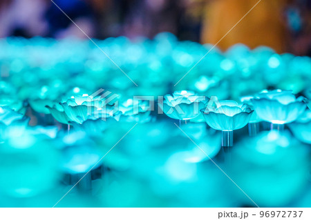 The bulbs were made into roses, arranged as festive decorations. 96972737