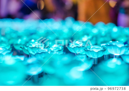 The bulbs were made into roses, arranged as festive decorations. 96972738