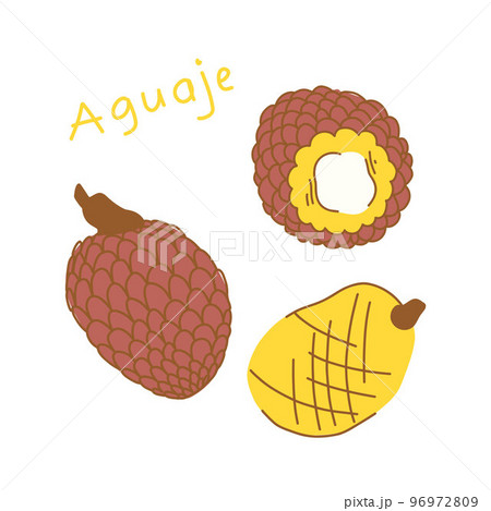 Illustration of aguaje fruit with and without peel isolated on white background. Illustration of aguaje fruit with and without peel isolated on white background. 96972809