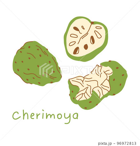 Illustration of cherimoya fruit in flat style. whole fruit, half fruit and torn fruit, with pits. 96972813