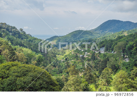 Green valley with blue hills and sea 96972856