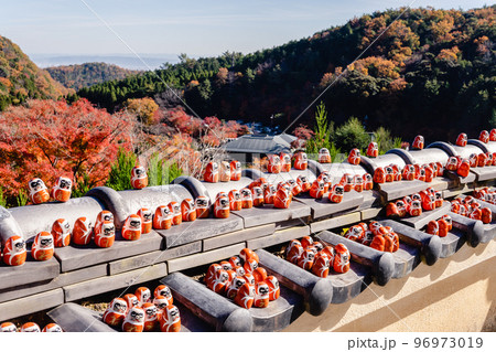 だるま　紅葉　秋 96973019