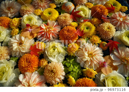 カラフルな花手水、行田市、埼玉県、日本、フラワーアレンジメント、花、沢山の花、花手水、手水、花、カラ 96973116
