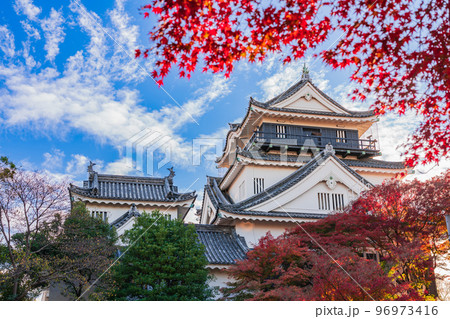 秋の岡崎城〈愛知県岡崎市〉 96973416