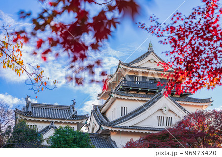 秋の岡崎城〈愛知県岡崎市〉 96973420