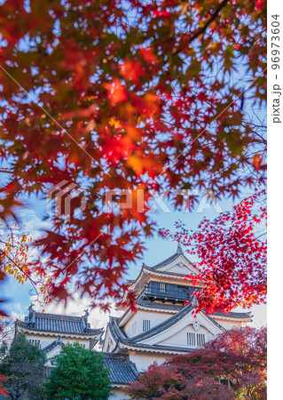 秋の岡崎城〈愛知県岡崎市〉 96973604