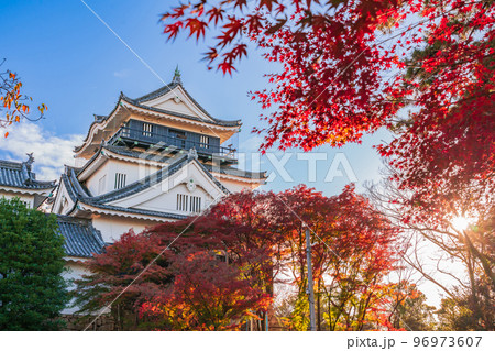 秋の岡崎城〈愛知県岡崎市〉 秋の岡崎城〈愛知県岡崎市〉 96973607