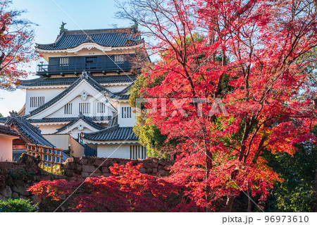 秋の岡崎城〈愛知県岡崎市〉 96973610