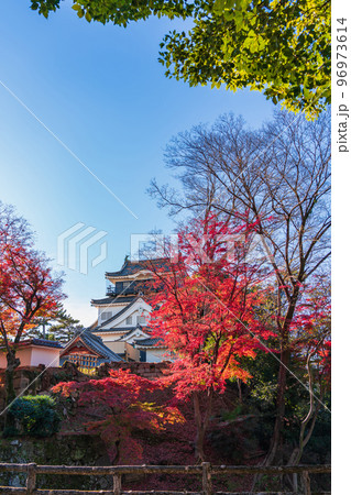 秋の岡崎城〈愛知県岡崎市〉 96973614