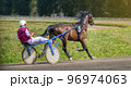 Jockey and horse. Trotting horse race. Race in harness with a sulky or racing bike. Harness racing. Trotting horse race. Sport banner 96974063